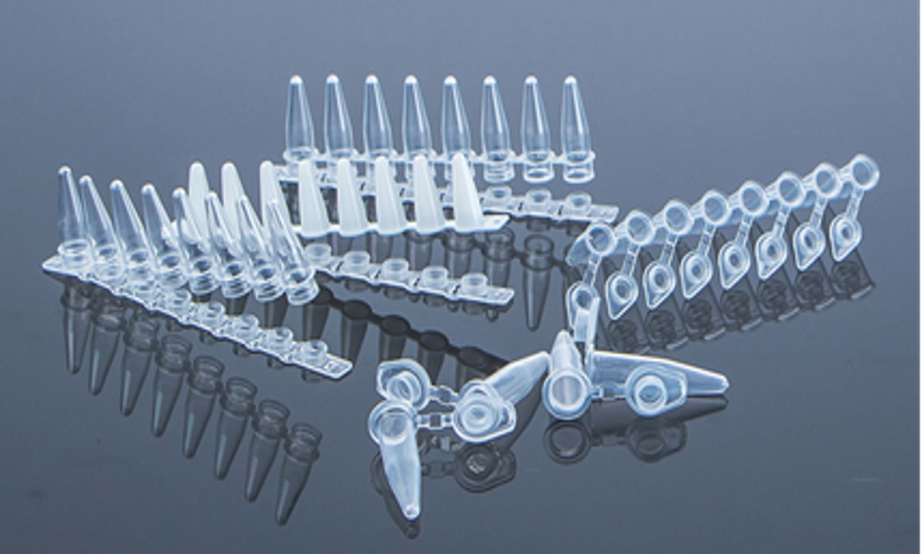 Holly: Injection Molding Manufacturer from China Since 2000 photo 3