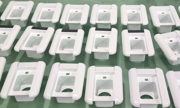 RpProto photo 2